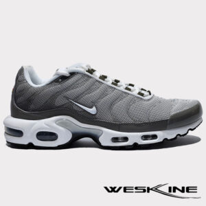 Baskets Nike Air Max Plus SE en Étain Mat et Blanc